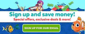 WildTangent Email - image